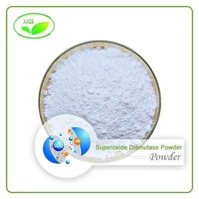 Superoxide Dismutase Powder